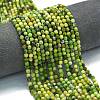 Natural Seraphinite Beads Strands G-A260-A15-01-1