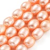 Natural Cultured Freshwater Pearl Beads Strands PEAR-P062-17A-2