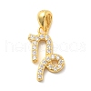 925 Sterling Sliver Micro Pave Clear Cubic Zirconia Pendants STER-Z012-06G-03-1