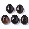 Translucent Glass Cabochons GLAA-T023-02C-2