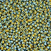 8/0 Glass Seed Beads SEED-S006-31-3