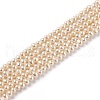 Natural Cultured Freshwater Pearl Beads Strands PEAR-J005-04-1