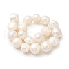 Natural Cultured Freshwater Pearl Beads Strands PEAR-A006-11F-3