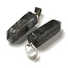 Natural Labradorite Pendants G-Z067-07P-24-3
