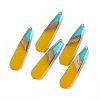 Transparent Resin & Walnut Wood Big Pendants RESI-M027-05J-3