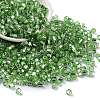 Glass Seed Beads SEED-M011-01A-20-1