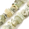 Natural Prehnite Beads Strands G-I283-F11-2