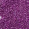 8/0 Glass Seed Beads SEED-A017-3mm-1116-2