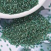 MIYUKI Delica Beads X-SEED-J020-DB0917-1