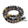 Natural Sodalite Beads Strands G-F591-13A-4