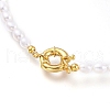 Natural Cultured Freshwater Pearl Beaded Necklaces NJEW-JN03100-2