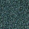 MIYUKI Delica Beads X-SEED-J020-DB0276-3
