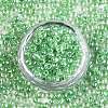 (Repacking Service Available) 6/0 Glass Seed Beads SEED-C026-4mm-2207-3