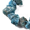 Natural Apatite Beads Strands G-I283-F23-4