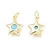 Brass Charms X-ZIRC-L076-057G-2