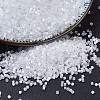 MIYUKI Delica Beads SEED-X0054-DB0635-1