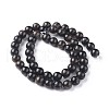 Natural Biotite Beads Strands G-L528-06C-3
