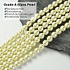 Grade A Glass Pearl Beads HY-J001-10mm-HX003-3