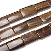 Natural Tiger Eye Beads Strands G-I194-31-1