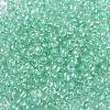 6/0 Glass Seed Beads X-SEED-A015-4mm-2219-2