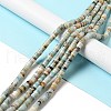 Natural Amazonite Heishi Beads Strands G-I326-08-2