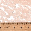 Transparent Colours Glass Seed Beads SEED-P007-01A-01-4