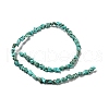 Dyed Natural Howlite Beads Strands G-G075-E03-01-2