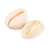 Natural Cowrie Shell Beads BSHE-Q296-1-2