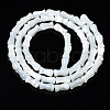 Natural Trochid Shell/Trochus Shell Beads Strands SSHEL-N034-122-B01-2