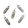 Natural Labradorite Double Terminated Pointed Pendants G-F295-05N-1