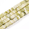 Natural Jade Beads Strands G-T140-56-4