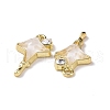 Alloy Micro Pave Cubic Zirconia Pendants PALLOY-D006-02G-3