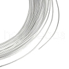 5M Aluminum Wire AW-H001-05B-2