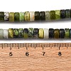 Natural Serpentine Beads Strands G-L624-I16-3x6mm-5
