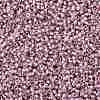 TOHO Round Seed Beads SEED-JPTR15-0267-2