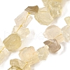 Natural Lemon Quartz Beads Strands G-S386-B02-2