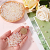SOFPLATE Transparent Acrylic Beads MACR-SP0001-28B-01-3