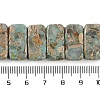 Natural Shoushan Stone/Larderite Beads Strands G-L604-F02-01-5