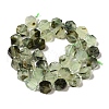 Natural Prehnite Beads Strands G-P534-A01-02-3