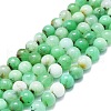 Natural Chrysoprase Beads Strands G-K245-A12-05-1