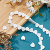 4 Strands Natural Freshwater Shell Beads Strands SHEL-HS0001-11-4