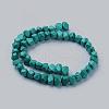 Natural Magnesite Beads Strands TURQ-K003-26-2