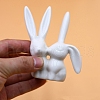 Porcelain Rabbit Sculpture Display Decorations PW-WG617B0-01-4