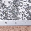 MIYUKI Delica Beads Small SEED-X0054-DBS0168-4
