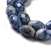Natural Blue Spot Jasper Beads Strands G-P520-C05-01-4