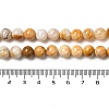 Natural Crazy Lace Agate Beads Strands G-H298-A12-03-5