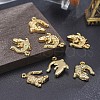 Alloy Pendants TIBEP-A040-015G-NR-4