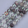 Natural Green Lodolite Quartz/Garden Quartz Beads Strands G-S333-8mm-036-1