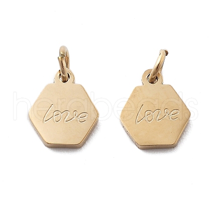 304 Stainless Steel Charms STAS-M111-37G-1