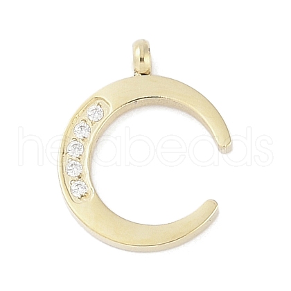 304 Stainless Steel Charms STAS-L022-398G-1